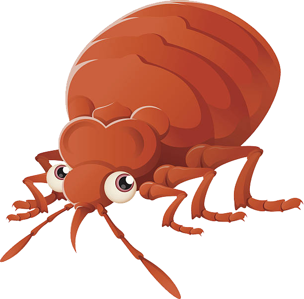 Bed Bugs Control