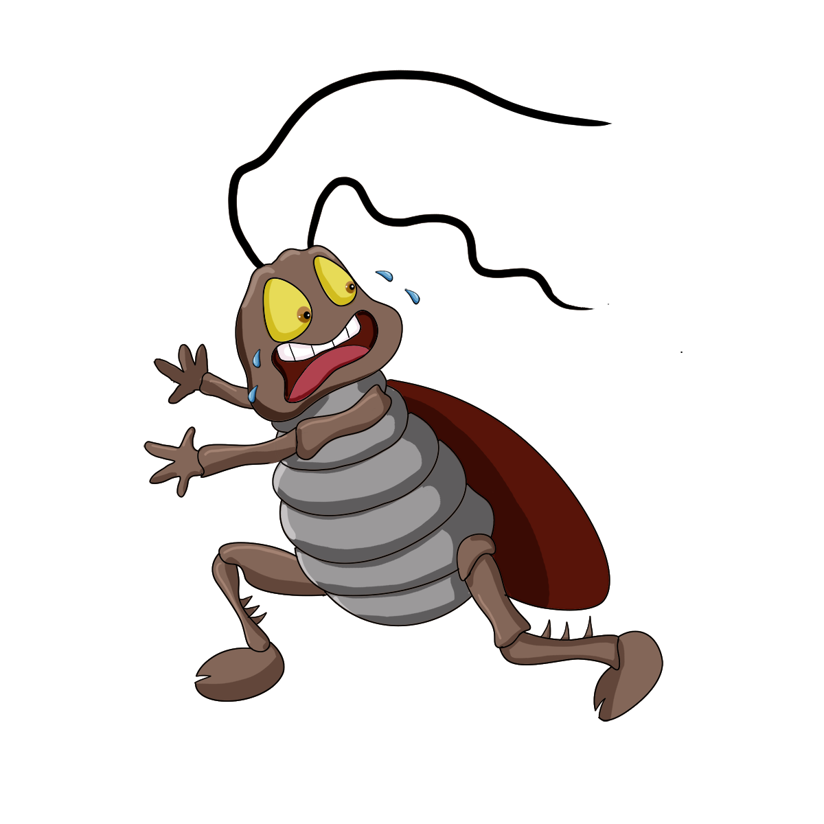 Cockroach Control